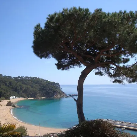 Condessa Villa Lloret de Mar