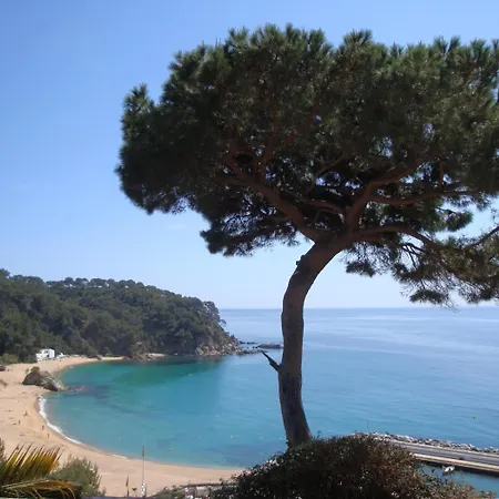 Condessa * Lloret de Mar